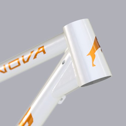 Madnes NOVA All Mountain 29" Rahmen